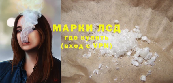 спайс Богданович