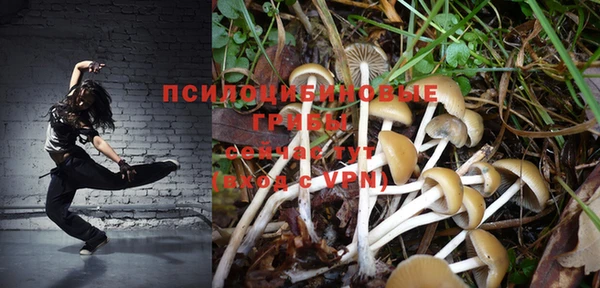 дурь Белокуриха