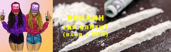 спайс Богданович