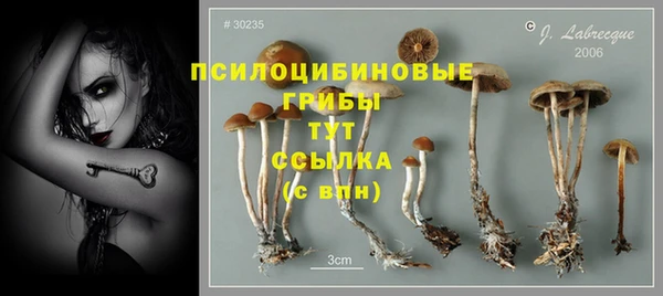 спайс Богданович