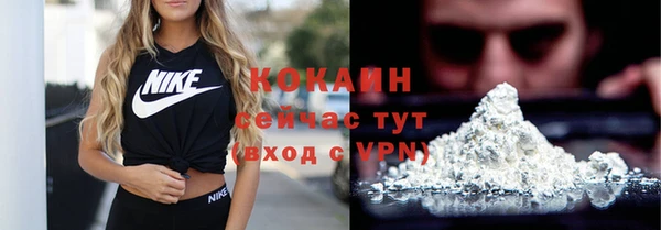 спайс Богданович