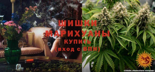 спайс Богданович