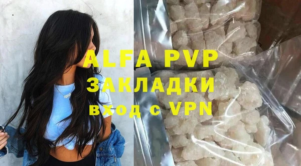 спайс Богданович