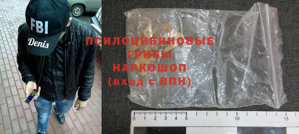 дурь Белокуриха