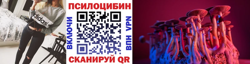 Галлюциногенные грибы Psilocybine cubensis  Буинск 